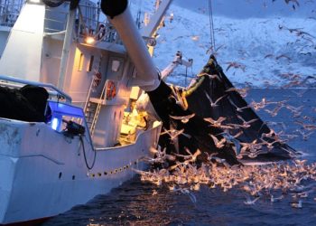 Surpêche : un scandale qui refait surface