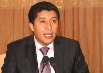 بعيوي: هكذا تسعى الدولة لحماية الصيادين من الدلفين الأسود