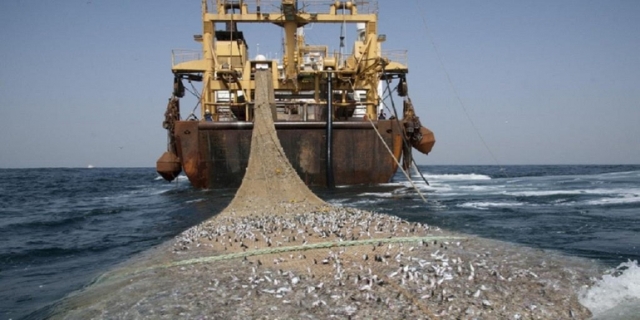 Greenpeace:Onze navires ont été saisis pour pêche illégale en Afrique de l’Ouest