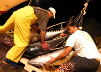 Les défenseurs de l’environnement s’inquiètent du projet “Marquesas Fisheries”””