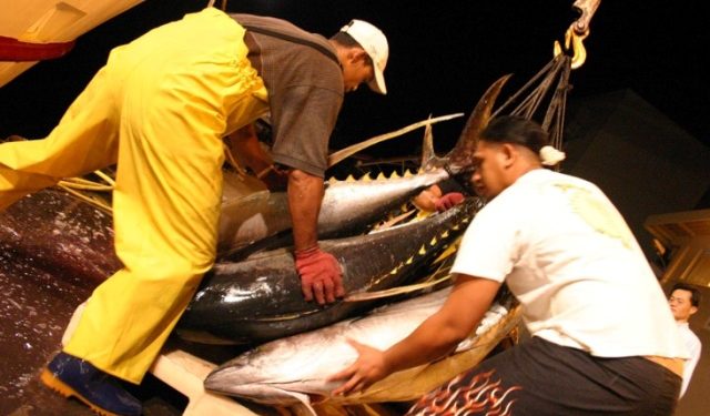 Les défenseurs de l’environnement s’inquiètent du projet “Marquesas Fisheries”””