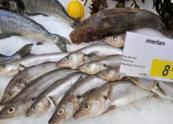 Brésil: Des poissons chinois gonflés à l’eau et aux produits chimiques