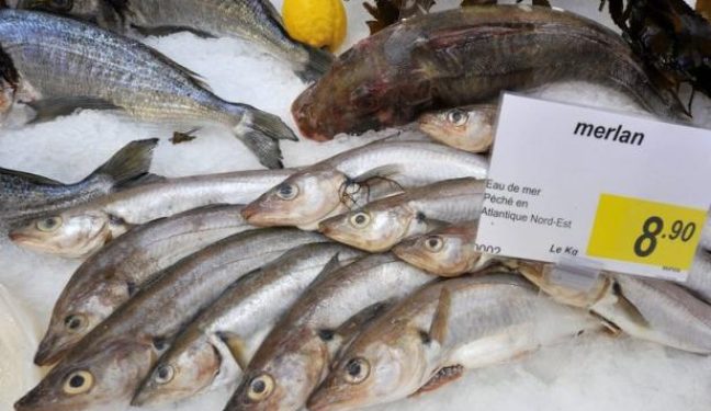 Brésil: Des poissons chinois gonflés à l’eau et aux produits chimiques