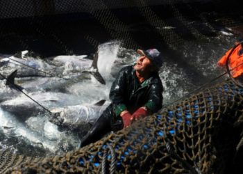 Pêche illégale du thon: 48 entreprises signent un pacte