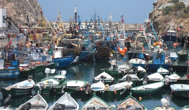 مهنيو الحسيمة يستنكرون تصريحات العمراوي في مناظرة طنجة