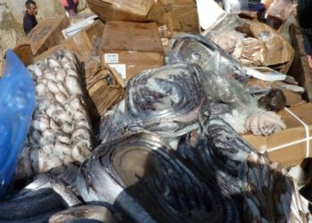 الدارالبيضاء:اتلاف 93ر4 طن من منتجات الصيد