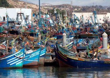 غرفة الصيد البحري باكادير تعقد دورتها العادية في 04 يوليوز