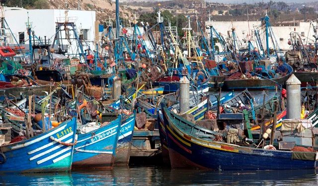 غرفة الصيد البحري باكادير تعقد دورتها العادية في 04 يوليوز