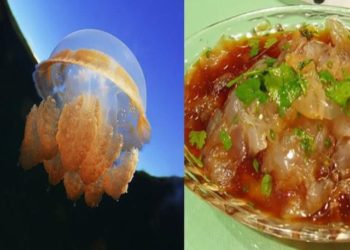 اشتكى منه المصريون فأصبح مطلوباً بآسيا كغذاء ودواء