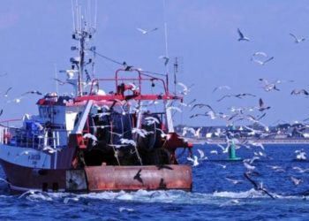 la pêche : la France fait son autocritique