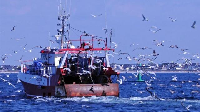 la pêche : la France fait son autocritique