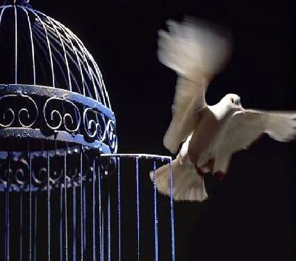 اطلاق سراح رشيد الركراكي معتقل الواجب الوطني في مكافحة التهريب و الصيد الغير القانوني