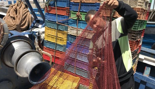 الدكتور فرج يكشف اسباب هجومات النيكرو و يقدم حلولا عملية