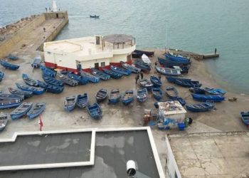 إتلاف أطنان من سمك التونة بعد بيعها في المزاد بميناء القصر الصغير