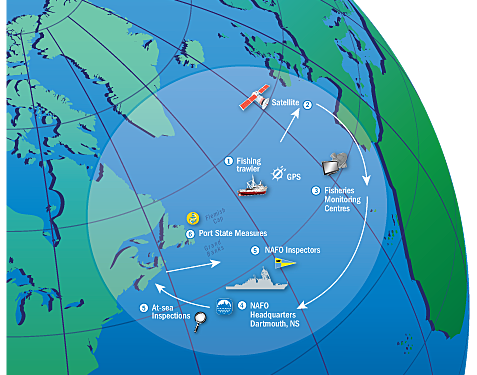هل هي نهاية الاحتكار في مراقبة السفن عبر الأقمار الاصطناعية