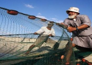 إنقاذ الثروة السمكية بمصر