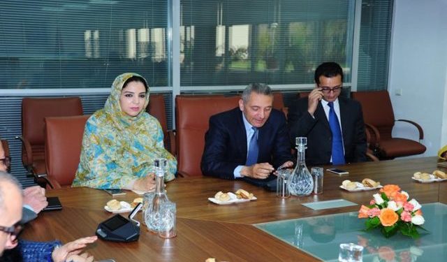 الدرهم تسقط في مستنقع الطحالب