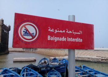 ميناء الصويرة: السباحة في الممنوع
