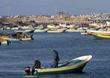 منذ 98 عامًا.. تجارة الصيد غير مربحة في البحر الأحمر