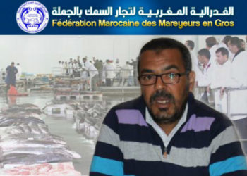 شادي :الفدرالية لا تزال وفية لمهنيي تجارة السمك