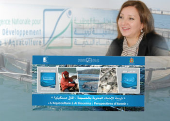 الحسيمة .. دعوة المقاولين الشباب للاستثمار في قطاع تربية الأحياء البحرية