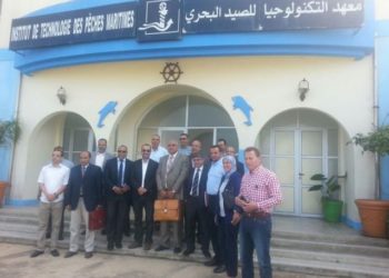 العرائش: رؤساء مصالح قطاع الصيد البحري يتدارسون المخالفات