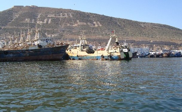المكتب المسير لغرفة الصيد بأكادير يتدارس مشروعا جديدا حول صيد الاخطبوط