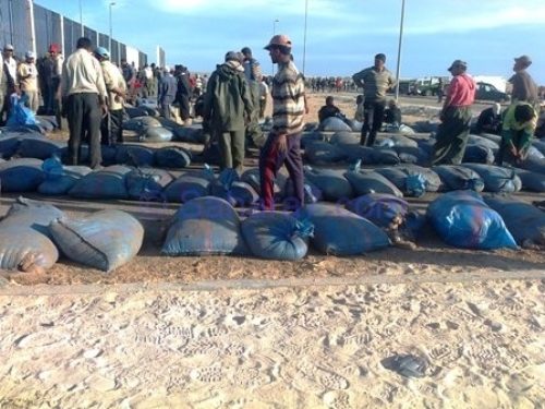 مجلس الحكومة يصادق على مشروع مرسوم يتعلق بقطاع الصيد البحري
