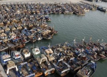 الغرف المهنية الكبرى تندد بافتراءات الربابنة