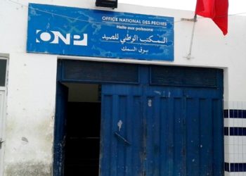 انفلات أمني بسوق السمك بالحسيمة و تحذيرات لأخنوش من العودة الى الماضي