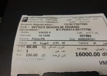 نقطة التفريغ أمكريو تحطم الرقم القياسي في ثمن لاخطبوط