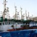 إسبانيا تدعو لبدء مفاوضات الصيد البحري مع المغرب