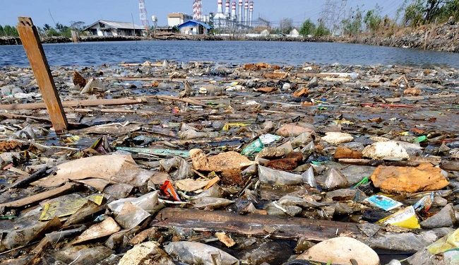 الأمـم المـتحـدة: الحياة البحرية تواجه ضررا لا يمكن إصلاحه