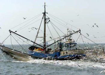 UE:Les ONG dénoncent la position de Bruxelles sur la pêche électrique