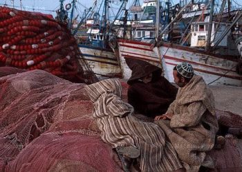 مهني:الجدل حول التناوب في استغلال المخزون”س” يعكس تخلف المهنيين