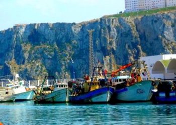 مهنيي يعتصم داخل مندوبية الصيد البحري بالحسيمة لهذا السبب….