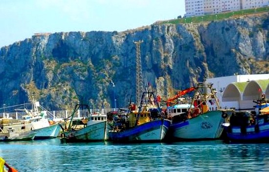 مهنيي يعتصم داخل مندوبية الصيد البحري بالحسيمة لهذا السبب….