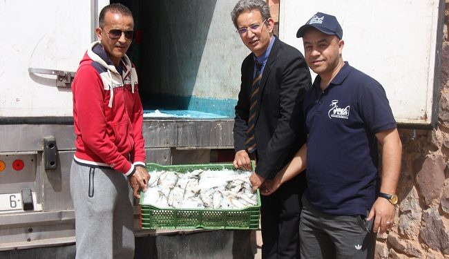 مهنيو السردين بأكادير يدعمون الاستهلاك السمكي بمدينة ورزازات