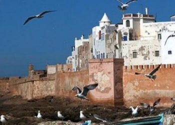 مهرجان “المحيطات” بالصويرة، تظاهرة في خدمة إشعاع مدينة الرياح