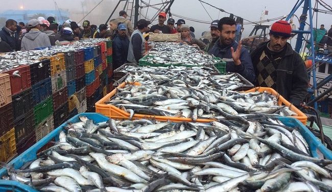 البحر وتأثيراته على الفنون والموسيقى الشعبية بآسفي-2- ( تاكبالت)