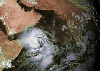 اعصار ماكونو يحمل اسماك الى اليمنيين
