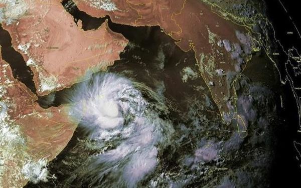 اعصار ماكونو يحمل اسماك الى اليمنيين