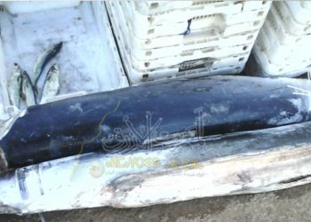 كمبيالة تؤكد عمليات التربح من استغلال الصناديق البلاستيكية