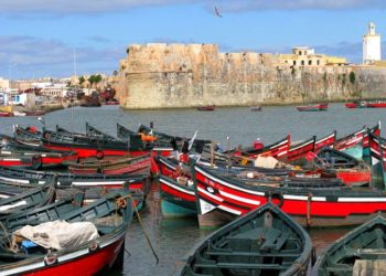 الكنفدرالية الوطنية لفعاليات الصيد البحري و الأحياء المائية بالمغرب تتضامن مع أخنوش