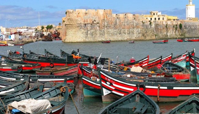 الكنفدرالية الوطنية لفعاليات الصيد البحري و الأحياء المائية بالمغرب تتضامن مع أخنوش