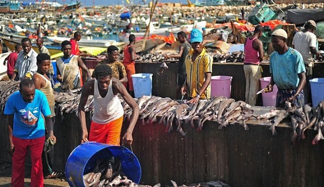 تركيا تضع يدها على مصايد الصومال