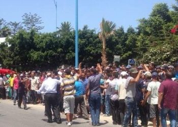 وزارة التجارة الخارجية تطمئن مهنيي قطاع الطحالب بخصوص رفع كوطا التصدير