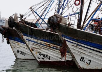 طانطان: خمسون مركبا للصيد الساحلي تقع في شباك VMS.