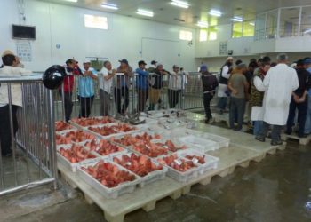 مهنيون يفضحون التهريب و التلاعبات بميناء أسفي