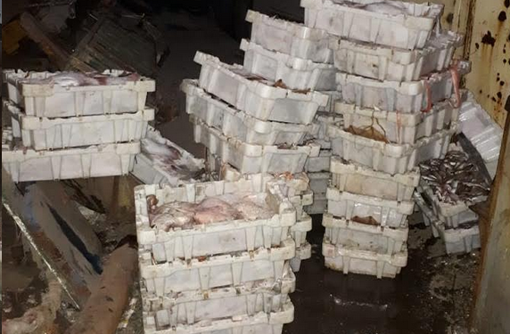 مصالح المراقبة بميناء آسفي تحبط عملية تهريب لمنتجات بحرية